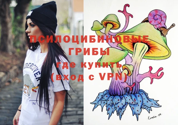 шишки Козельск