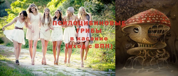дмт Ессентукская