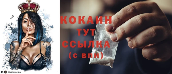 шишки Козельск
