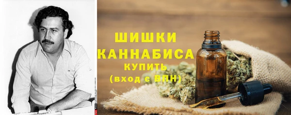 сатива Верхнеуральск