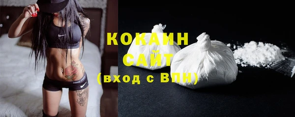шишки Козельск