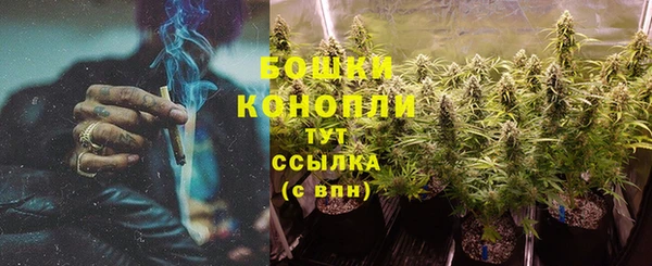 гидропоника Козловка