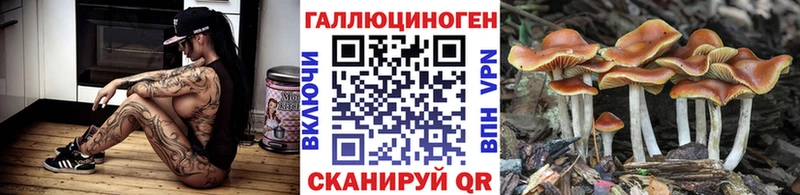 Галлюциногенные грибы Psilocybe  Ряжск 